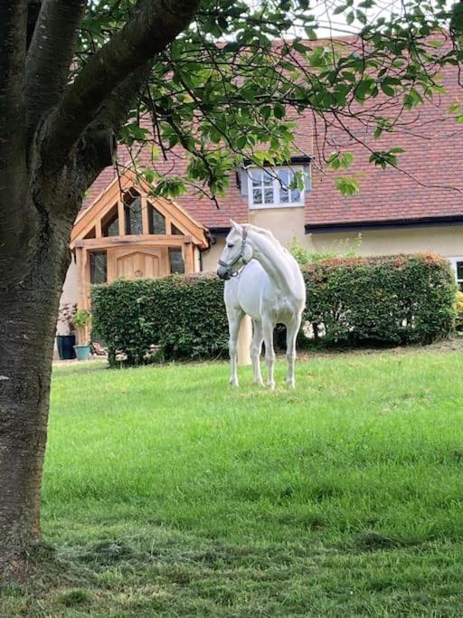 2 Beds & Living In Our Idyllic Country Cottage Bedford Kültér fotó
